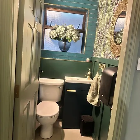 The Ivy *
